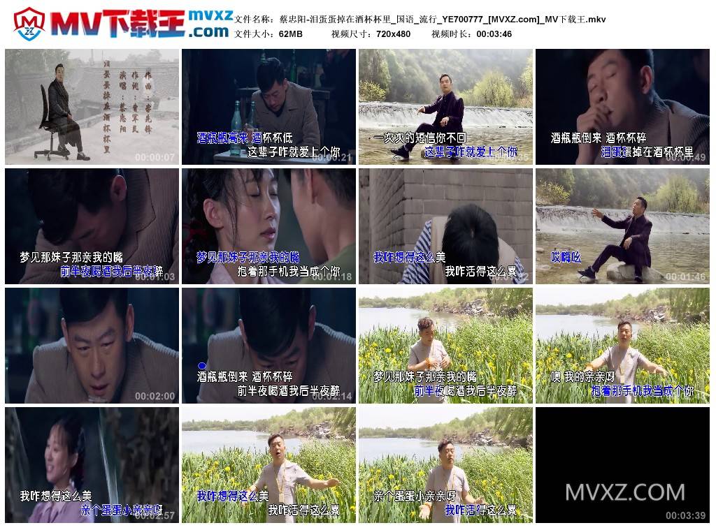 蔡忠阳-泪蛋蛋掉在酒杯杯里_国语_流行_YE700777